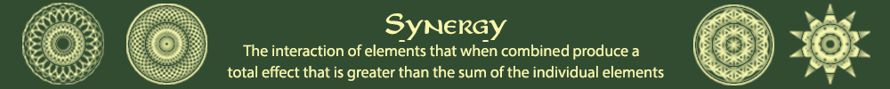 The Synergy Centre Logo